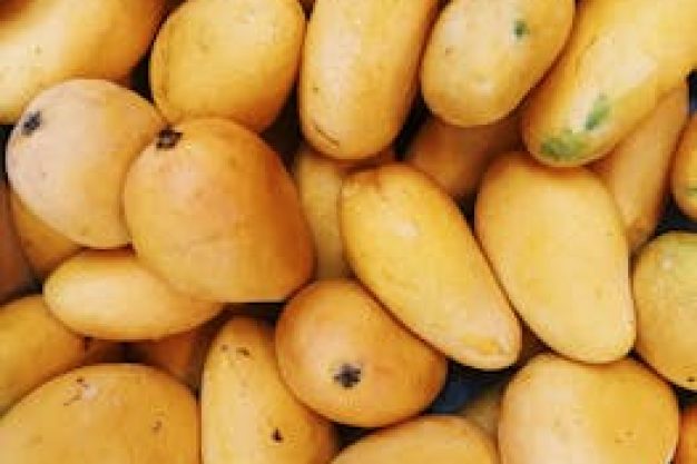 A vibrant pile of fresh yellow mangoes, highlighting the tropical fruit's natural beauty and summer appeal.